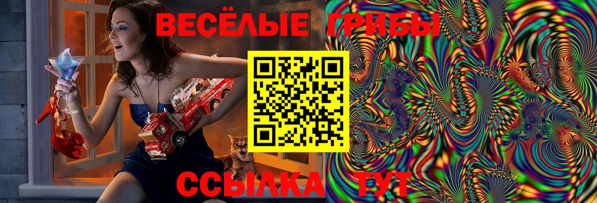 Зерноград  Галлюциногенные грибы Cubensis  Вход с VPN 